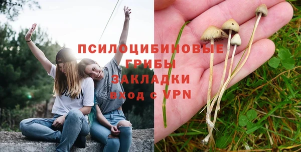 mdpv Балахна
