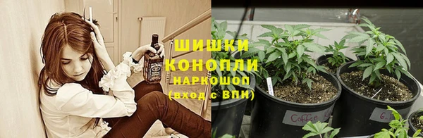 spice Беломорск