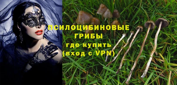 spice Беломорск