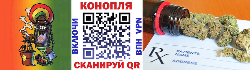 Бошки марихуана THC 21%  как найти   Ставрополь 
